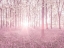 Picture of BLUEBELLS IN PINK