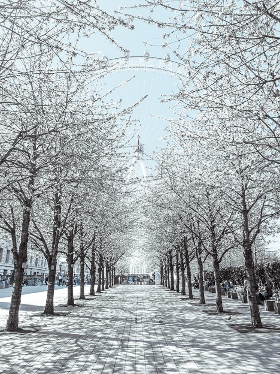 Picture of MILLENNIUM WHEEL-LONDON-UK