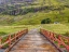 Picture of WOODEN BRIDGE OVER WATER STREAM AT GLEN COE VALLEY-SCOTLAND