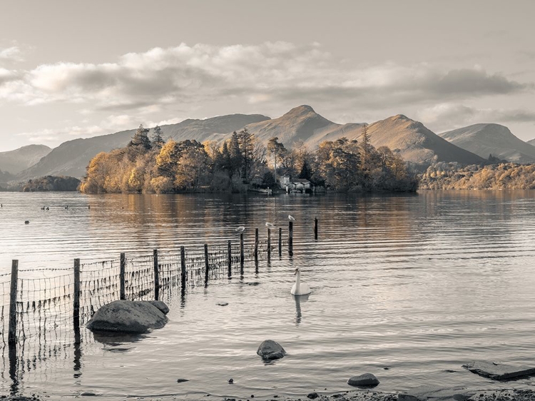 Picture of MORNING AT DERWENT ISLAND-DERWENTWATER