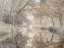 Picture of CANAL THROUGH FOREST