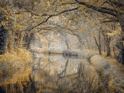 Picture of CANAL THROUGH FOREST