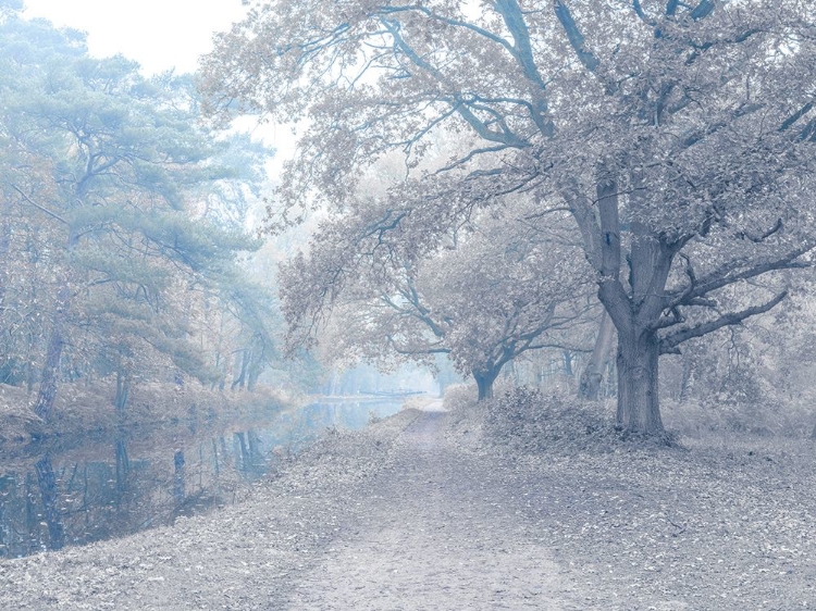 Picture of MISTY CANAL-AUTUMN