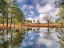 Picture of TREES BY A LAKE