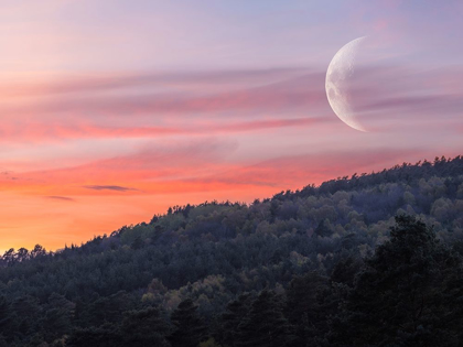 Picture of MOON SUNSET HILLSIDE