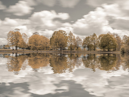Picture of TREES ALONG THE LAKE
