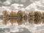 Picture of TREES ALONG THE LAKE