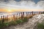 Picture of WHITE SANDS AT SUNSET