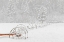 Picture of IRRIGATION SPRINKLER SYSTEM IN WINTER SNOWSTORM-KALISPELL-MONTANA