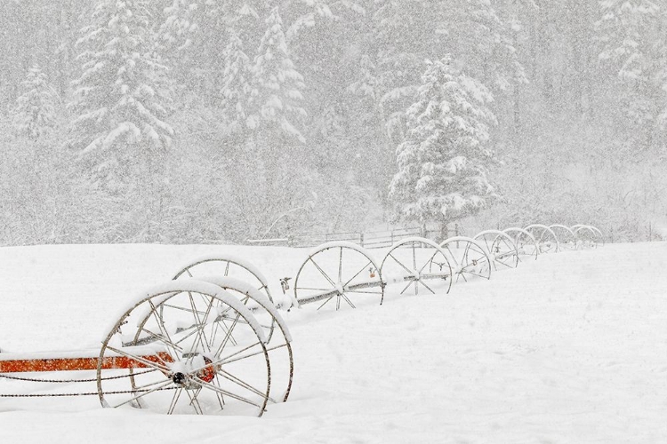 Picture of IRRIGATION SPRINKLER SYSTEM IN WINTER SNOWSTORM-KALISPELL-MONTANA