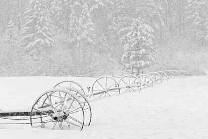 Picture of IRRIGATION SPRINKLER SYSTEM IN WINTER SNOWSTORM-KALISPELL-MONTANA