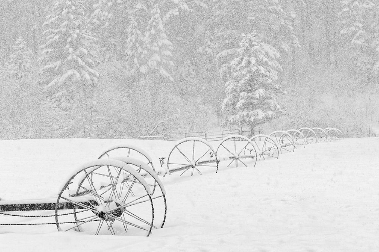 Picture of IRRIGATION SPRINKLER SYSTEM IN WINTER SNOWSTORM-KALISPELL-MONTANA