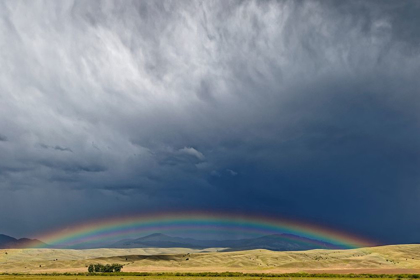 Picture of MONTANA RAINBOW OVER STORMY LANDSCAPE