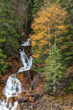 Picture of FAWN CREEK FALLS IN AUTUMN IN THE FLATHEAD NATIONAL FOREST-MONTANA-USA