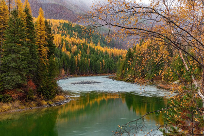 Picture of NORTH FORK OF THE FLATHEAD RIVER IN AUTUMN IN GLACIER NATIONAL PARK-MONTANA-USA