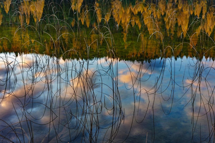 Picture of AUTUMN REFLECTIONS IN SPENCER LAKE NEAR WHITEFISH-MONTANA-USA