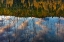 Picture of AUTUMN REFLECTIONS IN SPENCER LAKE NEAR WHITEFISH-MONTANA-USA