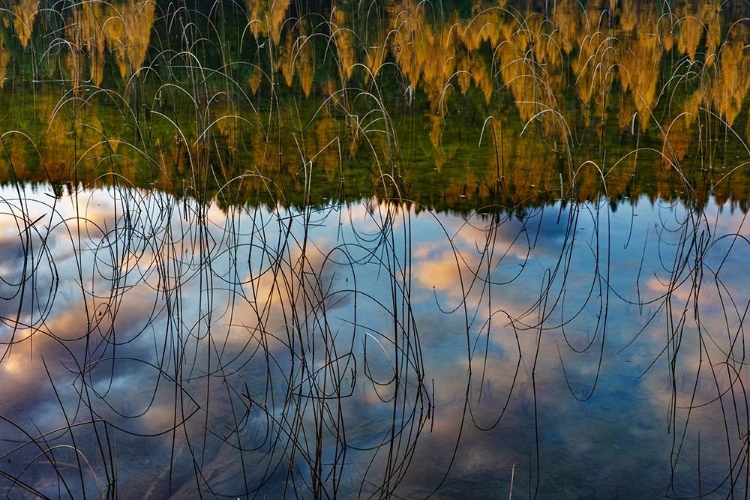Picture of AUTUMN REFLECTIONS IN SPENCER LAKE NEAR WHITEFISH-MONTANA-USA