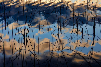 Picture of AUTUMN REFLECTIONS IN SPENCER LAKE NEAR WHITEFISH-MONTANA-USA