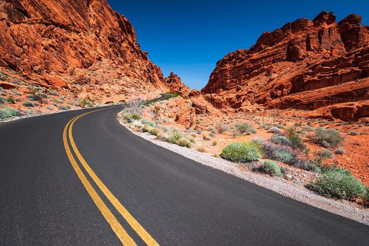 Picture of PARK SCENIC BYWAY-VALLEY OF FIRE STATE PARK-NEVADA-USA