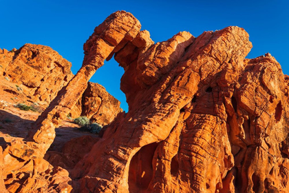 Picture of MORNING LIGHT ON ELEPHANT ROCK-VALLEY OF FIRE STATE PARK-NEVADA-USA
