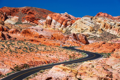 Picture of THE PARK ROAD WINDING THROUGH COLORFUL SANDSTONE-VALLEY OF FIRE STATE PARK-NEVADA-USA