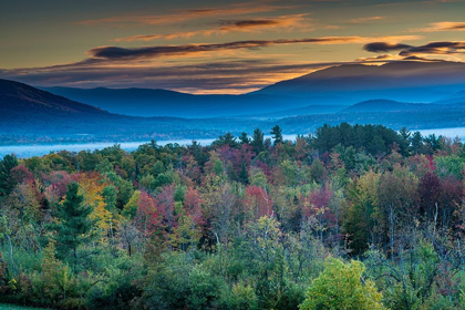 Picture of PAINTERLY FALL LANDSCAPE WITH FOG AND FALL FOLIAGE-SUGAR HILL-WHITE MOUNTAINS-FRANCONIA