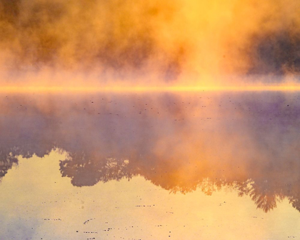 Picture of NEW JERSEY-BELLEPLAIN STATE FOREST SUNRISE ON LAKE FOG 