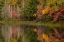 Picture of NEW JERSEY-WHARTON STATE FOREST LAKE AND FOREST IN AUTUMN 