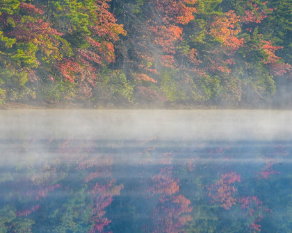 Picture of NEW JERSEY-BELLEPLAIN STATE FOREST SUNRISE ON LAKE FOG 