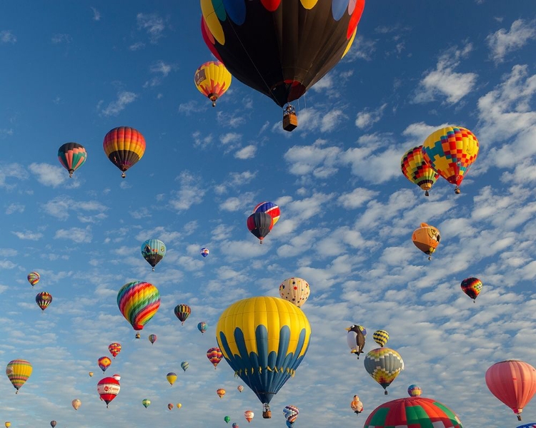 Picture of MASS ASCENSION ALBUQUERQUE INTERNATIONAL BALLOON FIESTA-ALBUQUERQUE-NEW MEXICO