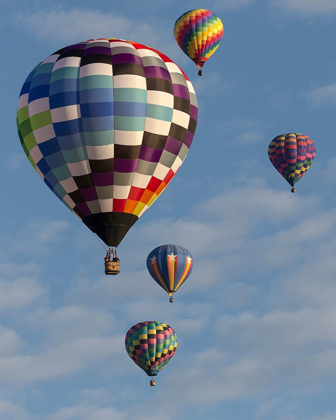 Picture of MASS ASCENSION ALBUQUERQUE INTERNATIONAL BALLOON FIESTA-ALBUQUERQUE-NEW MEXICO