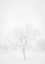 Picture of SNOWSCAPE IN NEW MEXICO