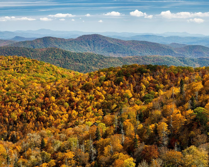 Picture of NORTH CAROLINA-PISGAH NATIONAL FOREST-VIEW FROM THE BLUE RIDGE PARKWAYS EAST FORK OVERLOOK