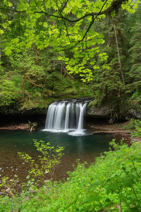 Picture of UPPER BUTTE CREEK FALLS CASCADE RANGE-OREGON