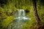 Picture of OREGON-MCKENZIE RIVER KOOSAH FALLS LANDSCAPE 