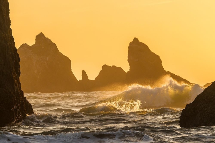 Picture of OREGON-BANDON BEACH-SUNSET-CRASHING WAVES