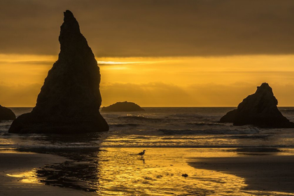 Picture of OREGON-BANDON BEACH WIZARDS HAT FORMATION AT SUNSET 