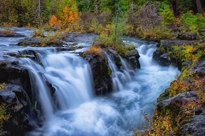 Picture of OREGON-ROGUE-UMPQUA SCENIC BYWAY UPPER ROGUE RIVER CASCADES INTO NARROW GORGE