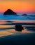 Picture of OREGON-BANDON FACE ROCK SEA STACK AT SUNSET