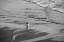 Picture of OR-OREGON COAST-ECOLA STATE PARK-INDIAN BEACH-GOING SURFING