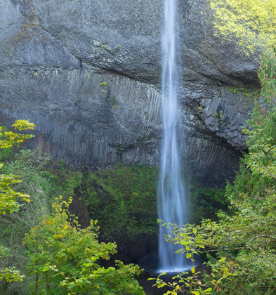 Picture of OR-COLUMBIA RIVER GORGE NATIONAL SCENIC AREA-LATOURELL FALLS