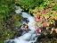 Picture of OR-COLUMBIA RIVER GORGE NATIONAL SCENIC AREA-WAHKEENA CREEK