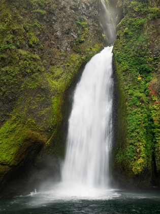 Picture of OR-COLUMBIA RIVER GORGE NATIONAL SCENIC AREA-WAHCLELLA FALLS