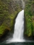 Picture of OR-COLUMBIA RIVER GORGE NATIONAL SCENIC AREA-WAHCLELLA FALLS