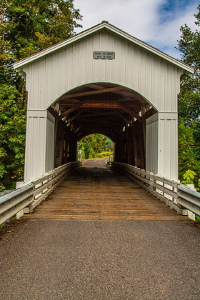 Picture of MOSBY CREEK BRIDGE-COTTAGE GROVE-OREGON-USA