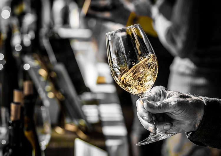 Picture of OREGON-PORTLAND WHITE WINE SWIRL IN GLASS AT PORTLAND WINE TASTING EVENT