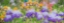 Picture of OREGON-SALEM-BEARDED IRIS SPRINGTIME BLOOM