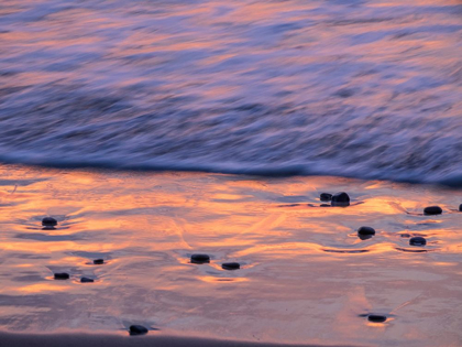 Picture of OREGON-CAPE ARCH-PACIFIC OCEAN EVENING LIGHT ON SURF