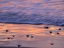 Picture of OREGON-CAPE ARCH-PACIFIC OCEAN EVENING LIGHT ON SURF